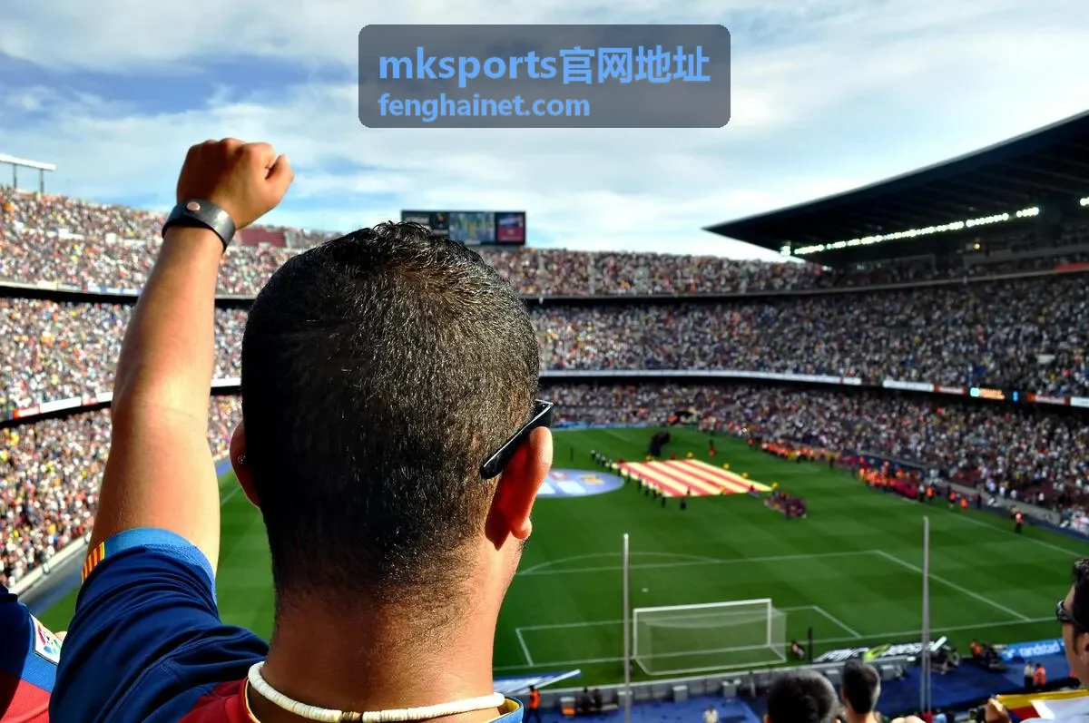 mksports官网地址使用指南：筛选赛事数据的操作方法