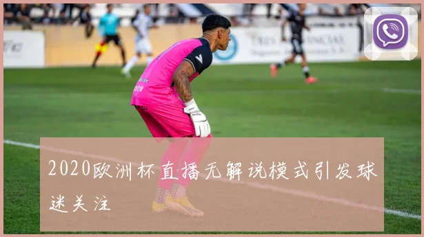 2020欧洲杯直播无解说模式引发球迷关注