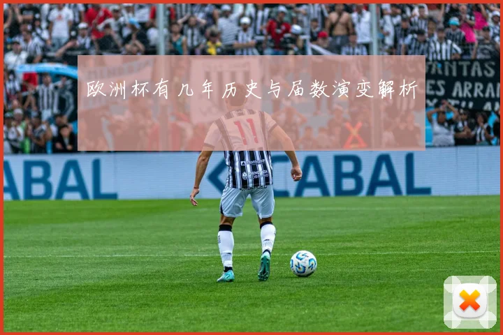 欧洲杯有几年历史与届数演变解析