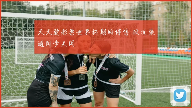 天天爱彩票世界杯期间停售 投注渠道同步关闭